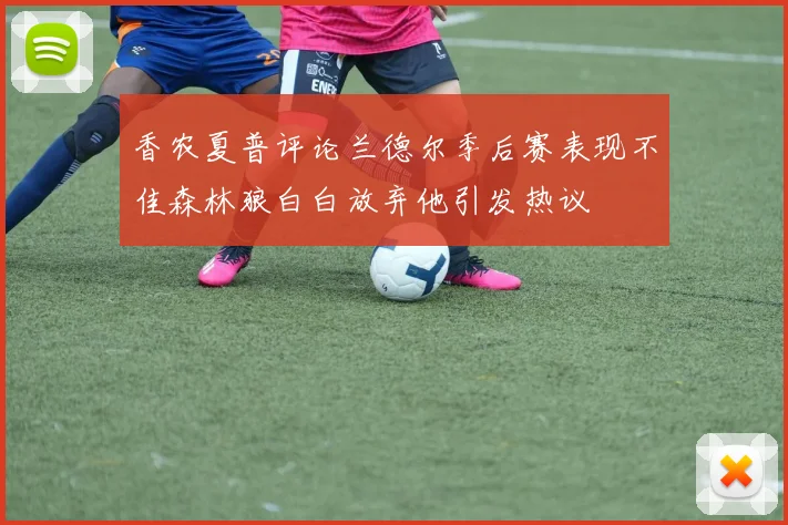 香农夏普评论兰德尔季后赛表现不佳森林狼白白放弃他引发热议